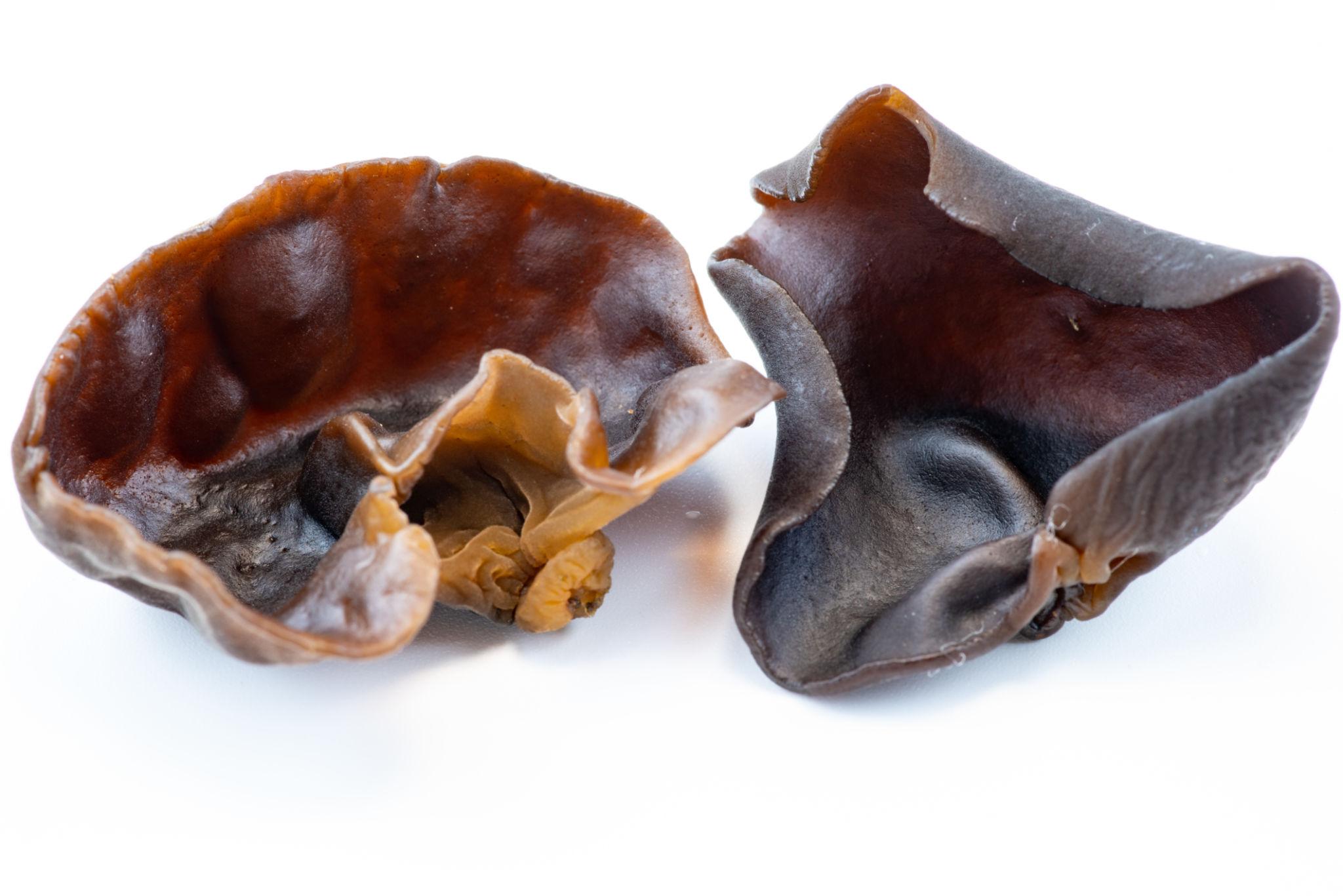 Wood Ear