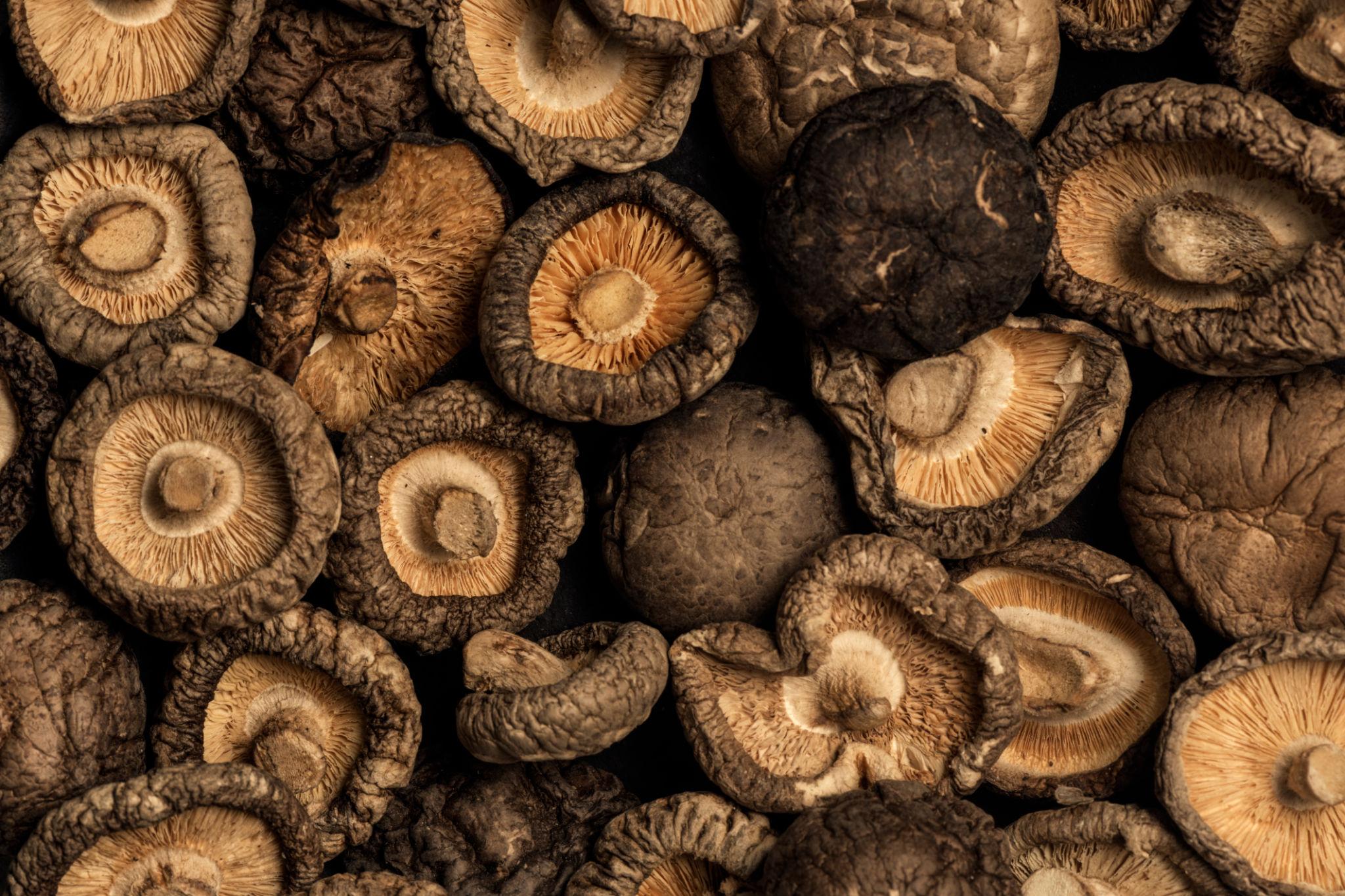 Shiitake